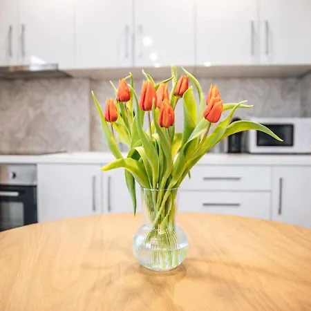 Casa Dos Capuchos Daire Leiria